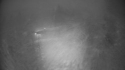 Modrá sjezdovka - dojezd k lanové dráze