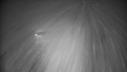 Modrá sjezdovka - dojezd k lanové dráze