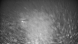 Modrá sjezdovka - dojezd k lanové dráze