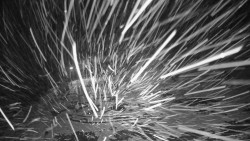 Modrá sjezdovka - dojezd k lanové dráze