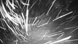 Modrá sjezdovka - dojezd k lanové dráze