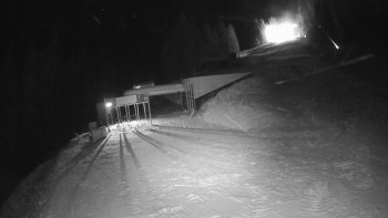 Snímek 24.11.2025 v 01:01