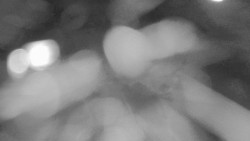 Modrá sjezdovka - dojezd k lanové dráze