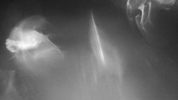 Modrá sjezdovka - dojezd k lanové dráze