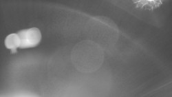 Modrá sjezdovka - dojezd k lanové dráze