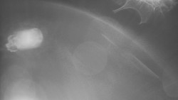 Modrá sjezdovka - dojezd k lanové dráze