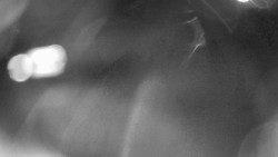 Modrá sjezdovka - dojezd k lanové dráze