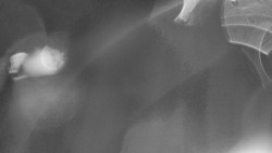 Modrá sjezdovka - dojezd k lanové dráze