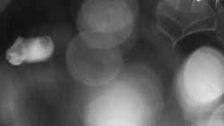 Modrá sjezdovka - dojezd k lanové dráze