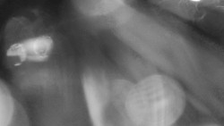 Modrá sjezdovka - dojezd k lanové dráze