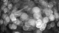 Modrá sjezdovka - dojezd k lanové dráze