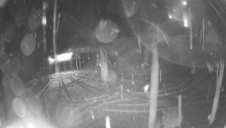 Modrá sjezdovka - dojezd k lanové dráze