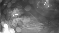 Modrá sjezdovka - dojezd k lanové dráze