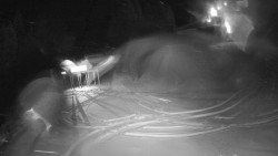 Modrá sjezdovka - dojezd k lanové dráze