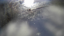 Modrá sjezdovka - dojezd k lanové dráze