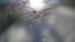 Modrá sjezdovka - dojezd k lanové dráze