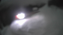 Modrá sjezdovka - dojezd k lanové dráze