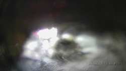 Modrá sjezdovka - dojezd k lanové dráze