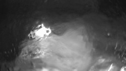 Modrá sjezdovka - dojezd k lanové dráze