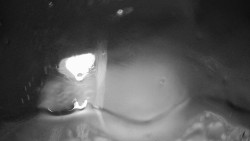 Modrá sjezdovka - dojezd k lanové dráze