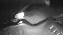 Modrá sjezdovka - dojezd k lanové dráze