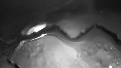 Modrá sjezdovka - dojezd k lanové dráze