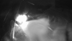 Modrá sjezdovka - dojezd k lanové dráze