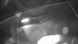 Modrá sjezdovka - dojezd k lanové dráze