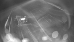 Modrá sjezdovka - dojezd k lanové dráze