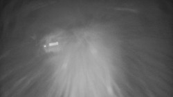 Modrá sjezdovka - dojezd k lanové dráze