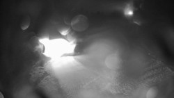 Modrá sjezdovka - dojezd k lanové dráze