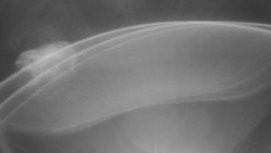 Modrá sjezdovka - dojezd k lanové dráze