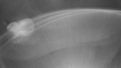 Modrá sjezdovka - dojezd k lanové dráze