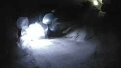 Modrá sjezdovka - dojezd k lanové dráze