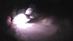 Modrá sjezdovka - dojezd k lanové dráze