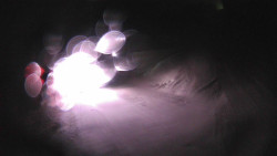 Modrá sjezdovka - dojezd k lanové dráze