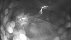 Modrá sjezdovka - dojezd k lanové dráze