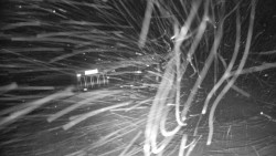 Modrá sjezdovka - dojezd k lanové dráze