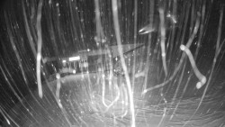 Modrá sjezdovka - dojezd k lanové dráze