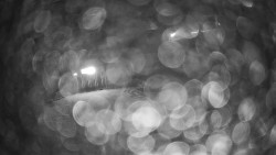 Modrá sjezdovka - dojezd k lanové dráze