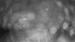 Modrá sjezdovka - dojezd k lanové dráze