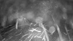 Modrá sjezdovka - dojezd k lanové dráze