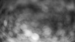 Modrá sjezdovka - dojezd k lanové dráze