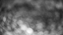 Modrá sjezdovka - dojezd k lanové dráze