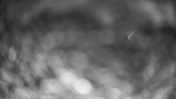 Modrá sjezdovka - dojezd k lanové dráze