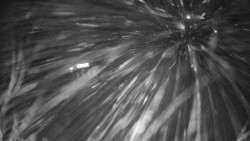 Modrá sjezdovka - dojezd k lanové dráze