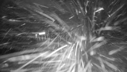 Modrá sjezdovka - dojezd k lanové dráze