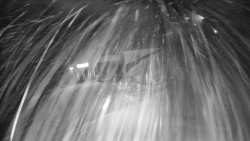 Modrá sjezdovka - dojezd k lanové dráze