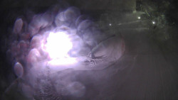 Modrá sjezdovka - dojezd k lanové dráze