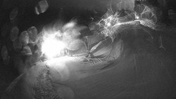 Modrá sjezdovka - dojezd k lanové dráze